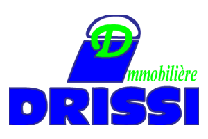 Drissi immobilier